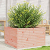 Pflanzkasten Dilaver 80x80x45,5cm (Douglasie)