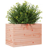 Garten-Blumenkasten Dilaver 70x40x45,5cm (Douglasie)