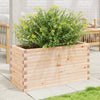 Pflanzkasten Dilaver 90x40x45,5cm (Kiefer)