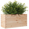 Pflanzkasten Dilaver 90x40x45,5cm (Kiefer)
