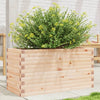 Pflanzkasten Dilaver 90x40x45,5cm (Kiefer)