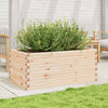 Blumenkasten Dilaver 110x60x45,5cm (Kiefer)