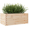 Blumenkasten Dilaver 110x60x45,5cm (Kiefer)