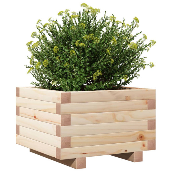 Blumenkasten Dilaver 40x40x26,5cm (Kiefer)