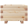Blumenkasten Dilaver 40x40x26,5cm (Kiefer)