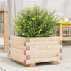 Blumenkasten Dilaver 40x40x26,5cm (Kiefer)