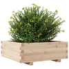 Blumenkasten Dilaver 70x70x26,5cm (Kiefer)