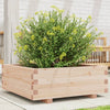 Blumenkasten Dilaver 70x70x26,5cm (Kiefer)