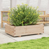 Blumenkasten Dilaver 90x60x26,5cm (Kiefer)
