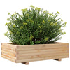 Blumenkasten Dilaver 90x60x26,5cm (Kiefer)