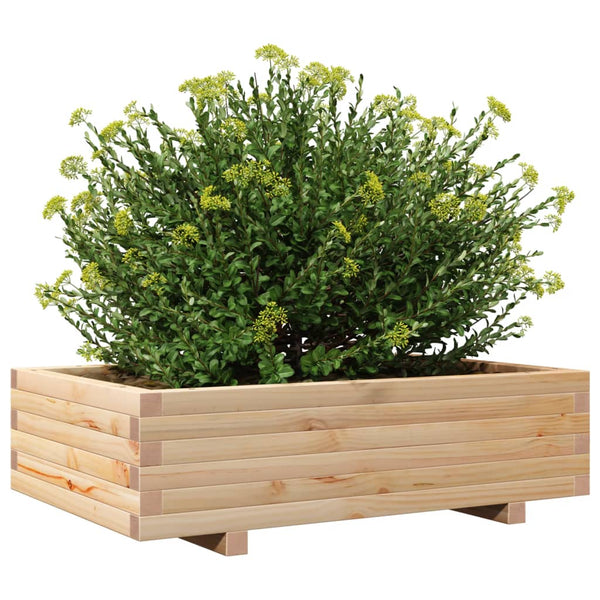 Blumenkasten Dilaver 90x60x26,5cm (Kiefer)