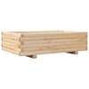 Blumenkasten Dilaver 90x60x26,5cm (Kiefer)