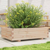 Blumenkasten Dilaver 90x60x26,5cm (Kiefer)