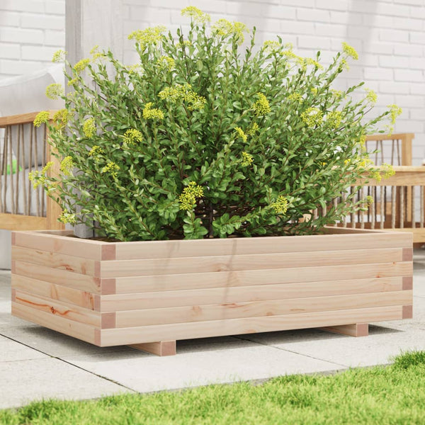 Blumenkasten Dilaver 90x60x26,5cm (Kiefer)