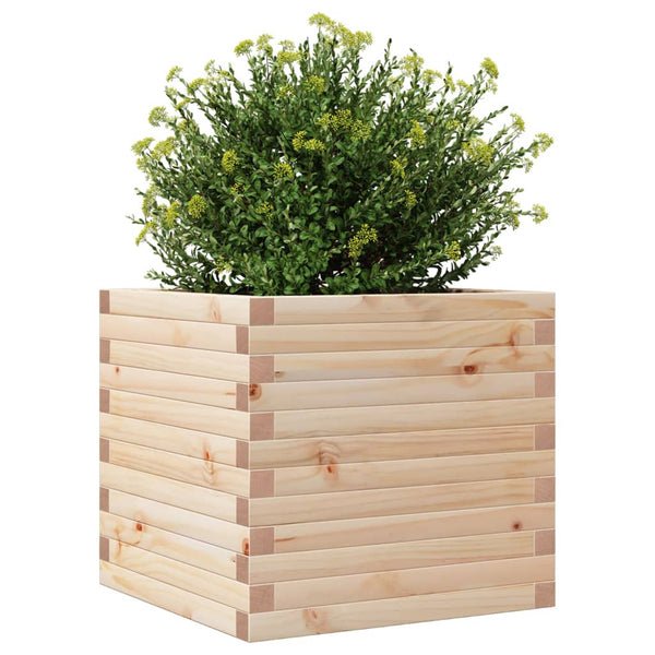Blumenkasten Dilaver 50x50x46cm (Kiefer)