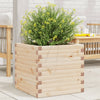 Blumenkasten Dilaver 50x50x46cm (Kiefer)