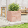 Blumenkasten Dilaver 50x50x46cm (Douglasie)