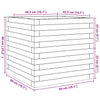 Blumenkasten Dilaver 50x50x46cm (Douglasie)