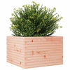 Blumenkasten Dilaver 70x70x46cm (Douglasie)