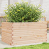 Blumenkasten Dilaver 90x60x46cm (Kiefer)