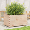 Gartenblumenkasten Dilaver 90x60x49,5cm (Kiefer)