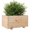 Gartenblumenkasten Dilaver 90x60x49,5cm (Kiefer)