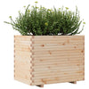 Garten-Blumenkasten Dilaver 90x60x72,5cm (Kiefer)
