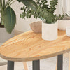 Tischplatte Cosetta 80x40x2cm (Massivholz Eiche oval)