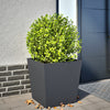 Anthrazitfarbener Pflanzkasten Henea 50x50x50cm (Stahl)