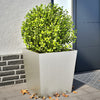 Gartenblumenkästen Henea 50x50x50cm (2 Stück Edelstahl)