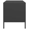 Schwarzer TV-Schrank Rosia 68x39x43,5cm (kaltgewalzter Stahl)