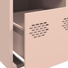 Rosa Schrank Dzidra 39x35x103,5cm (Stahl)