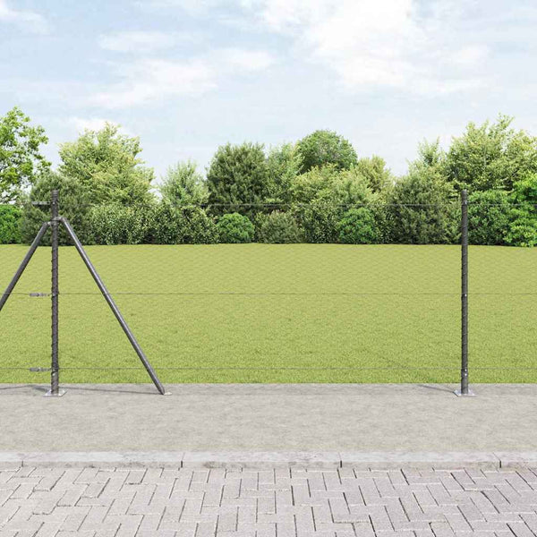 1 x 100 m Hürden grau markiert