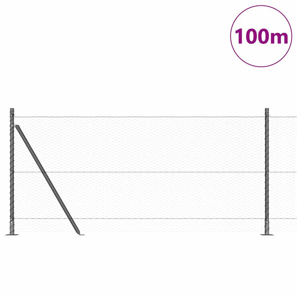 1 x 100 m Hürden grau markiert