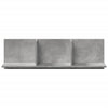 Betongrauer Wandschrank Nelo 100x16,5x30cm (Holz)