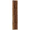 Antoanete Raumteiler aus Altholz 100x33x187,5cm (Holz)
