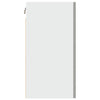 Wandschrank Pompilas 50x31x60 cm (Spanplatte) in Betongrau