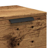 Altes Holz Sideboard Gania 60x30x70cm (Holz)