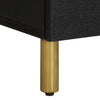 Nachttisch Feleontin 40x33x46cm schwarz (Mangoholz)