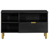 Schwarzer TV-Schrank Brandyn 80x33x46cm (Holz)