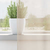 Creme-Raffrollos Lopina (2er-Set)