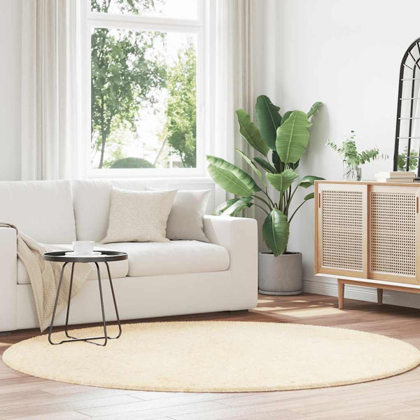 Sidiea Hochflor Teppich Creme Zottelig 200x200cm (Polyester)