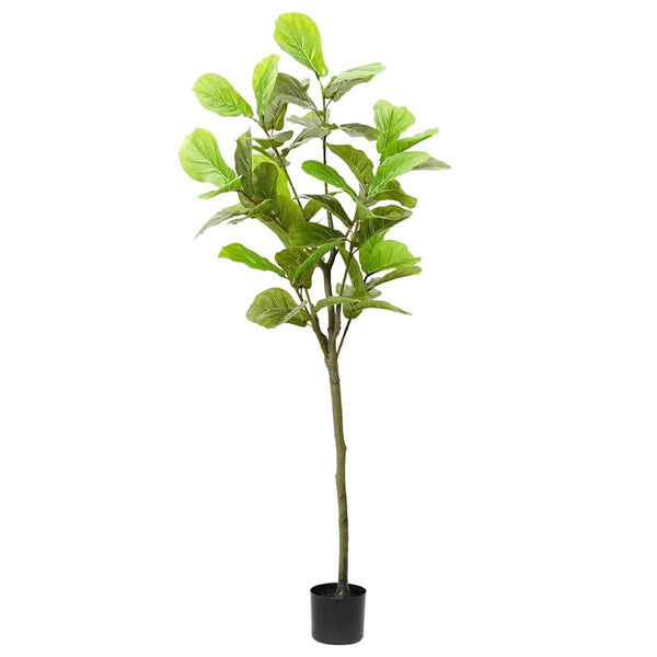Vihreä keinotekoinen ficus tree Gustaf 48 Lehdet 165cm