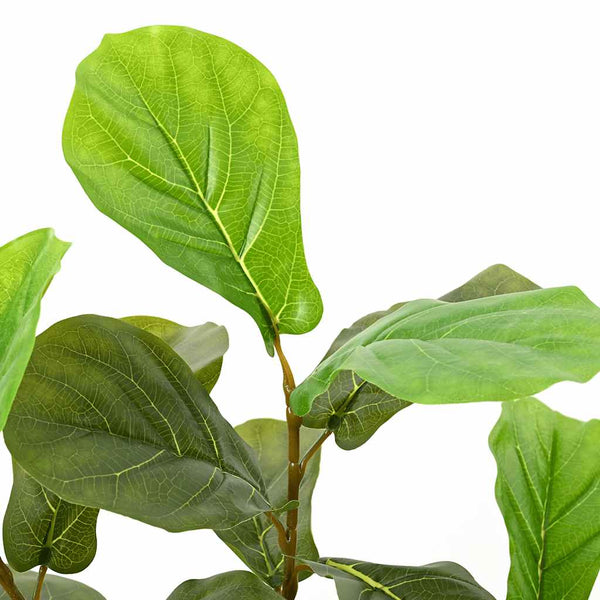 Vihreä keinotekoinen ficus tree Gustaf 48 Lehdet 165cm