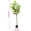 Vihreä keinotekoinen ficus tree Gustaf 48 Lehdet 165cm