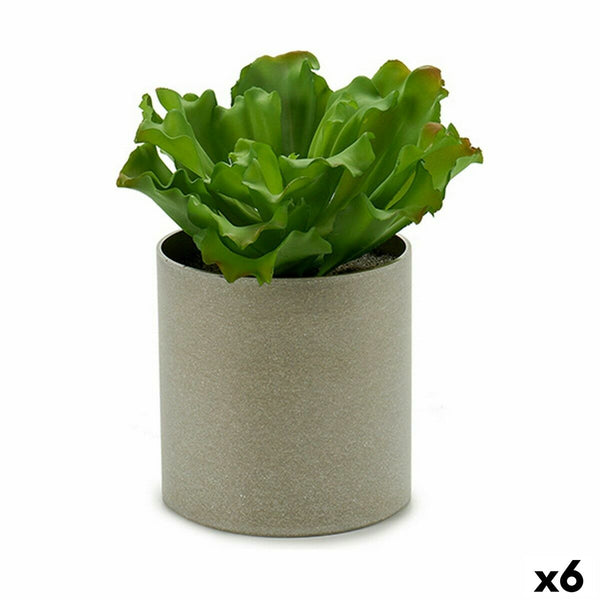 Ibergarden koristekasvi 20 x 25 x 20 cm (6 kpl)