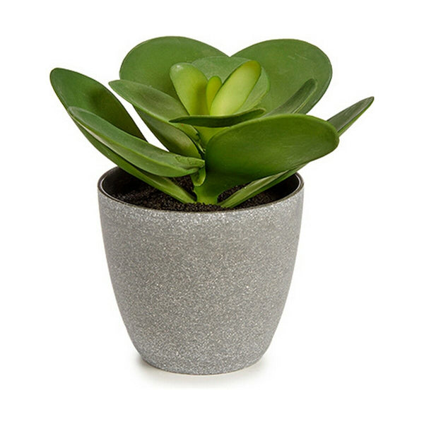 Ibergarden Koristekasvi Muovinen 18 cm, 6-osainen