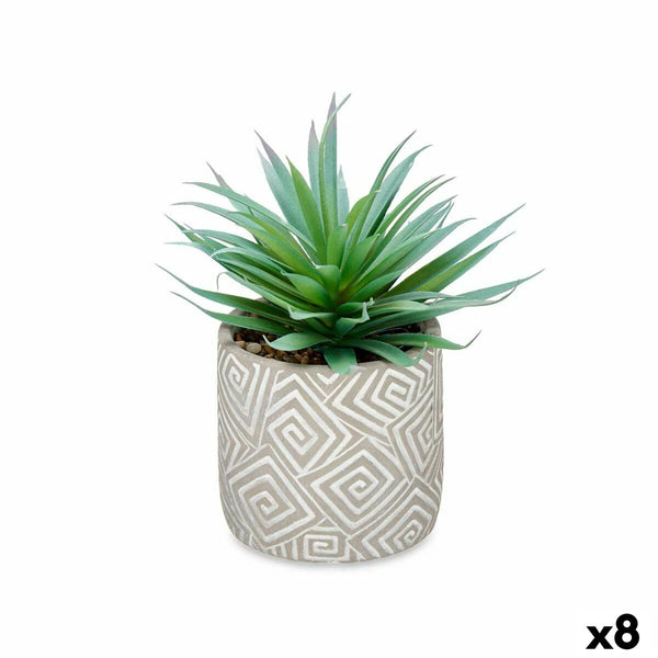 Ibergarden Koristekasvi Mehikasvi 17 x 21 cm