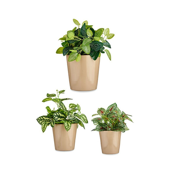 Ibergarden Beige Savi Ruukkusetti 3 Kappaletta