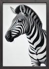 Juliste Mustavalkoinen - Zebra